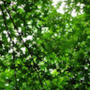 Meet your Posher, Joanna